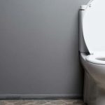 toilet with lid up