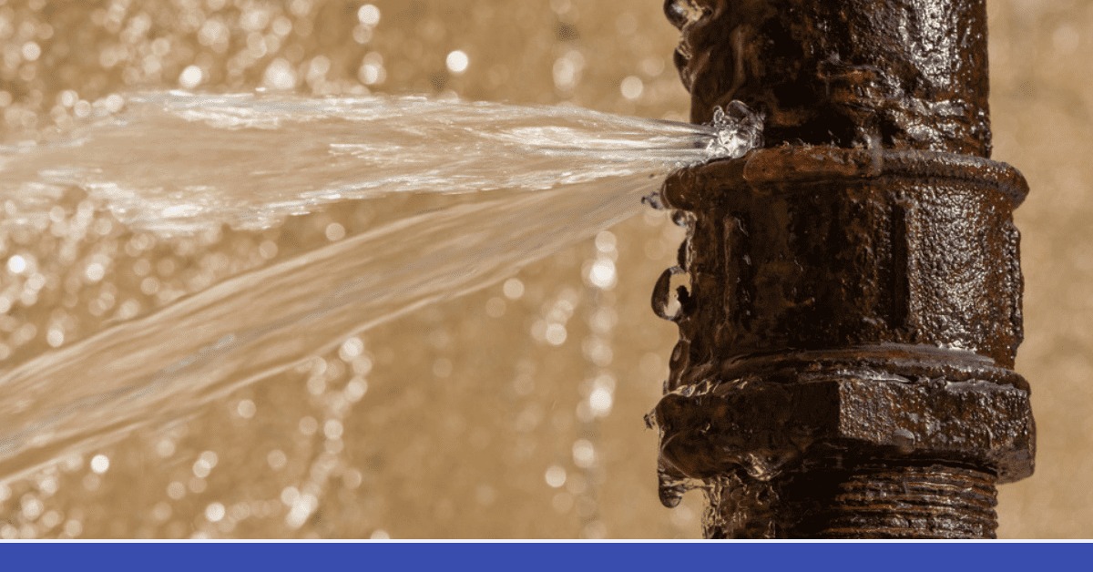 The Importance of Plumbing Maintenance The Importance of Plumbing Maintenance