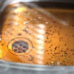 clogged drain