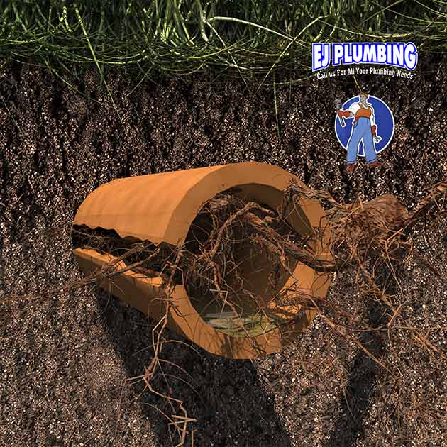 3D Root in Pipe