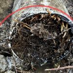 tree root clogging sewer system in Los Altos, CA
