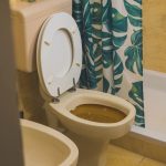 sewage backup