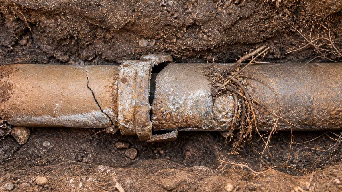 Example of damage requiring sewer line repair